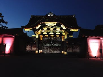 NAKED FLOWERS 2022 -桜- 世界遺産・二条城に投稿された画像（2022/4/13）