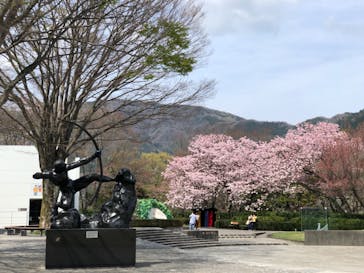彫刻の森美術館に投稿された画像（2022/4/13）