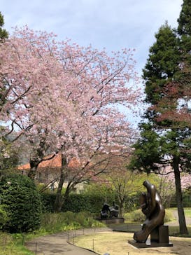 彫刻の森美術館に投稿された画像（2022/4/13）