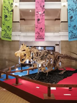 国立科学博物館　特別企画展「ポケモン化石博物館」に投稿された画像（2022/4/13）