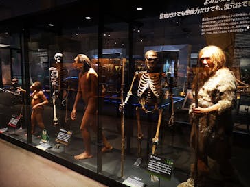 国立科学博物館　特別企画展「ポケモン化石博物館」に投稿された画像（2022/4/13）