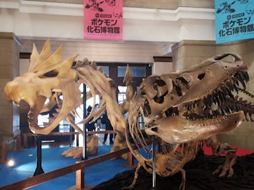 国立科学博物館　特別企画展「ポケモン化石博物館」に投稿された画像（2022/4/13）