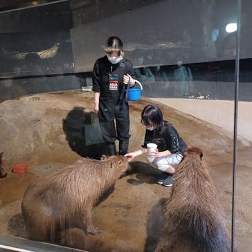 マクセル アクアパーク品川に投稿された画像（2022/4/13）