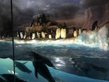 名古屋港水族館に投稿された画像（2022/4/13）