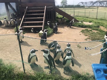 名古屋港水族館に投稿された画像（2022/4/13）