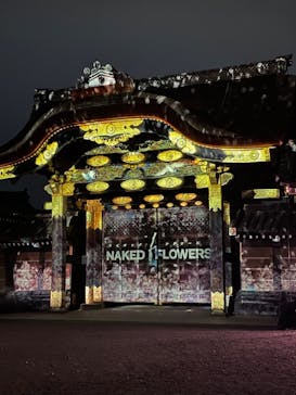 NAKED FLOWERS 2022 -桜- 世界遺産・二条城に投稿された画像（2022/4/13）