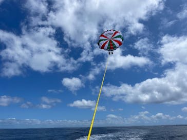 Sea World（シーワールド）に投稿された画像（2022/4/13）