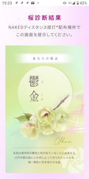 NAKED FLOWERS 2022 -桜- 世界遺産・二条城に投稿された画像（2022/4/13）