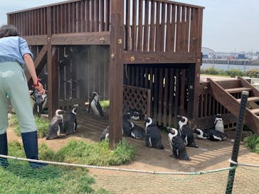 名古屋港水族館に投稿された画像（2022/4/13）