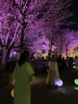 NAKED FLOWERS 2022 -桜- 世界遺産・二条城に投稿された画像（2022/4/13）