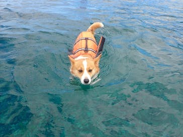 マリンショップtaitaiに投稿された画像（2022/4/13）