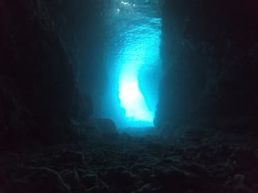 武藤潜水に投稿された画像（2022/4/14）