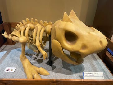国立科学博物館　特別企画展「ポケモン化石博物館」に投稿された画像（2022/4/14）