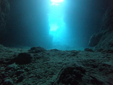 武藤潜水に投稿された画像（2022/4/14）