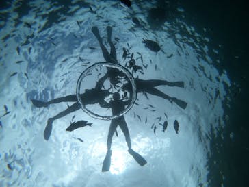 武藤潜水に投稿された画像（2022/4/14）