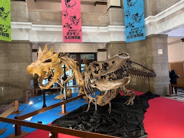 国立科学博物館　特別企画展「ポケモン化石博物館」に投稿された画像（2022/4/14）