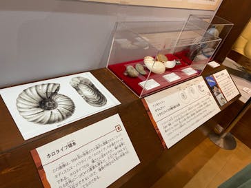 国立科学博物館　特別企画展「ポケモン化石博物館」に投稿された画像（2022/4/14）