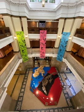 国立科学博物館　特別企画展「ポケモン化石博物館」に投稿された画像（2022/4/14）