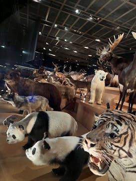 国立科学博物館に投稿された画像（2022/4/14）