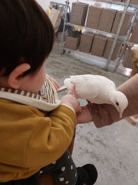 Moff アニマル カフェ イーアス 高尾店に投稿された画像（2022/4/14）