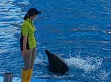 名古屋港水族館に投稿された画像（2022/4/14）