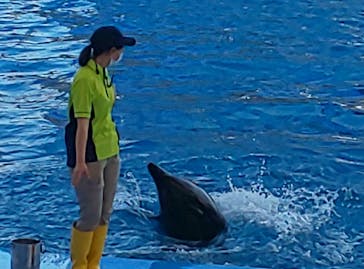 名古屋港水族館に投稿された画像（2022/4/14）