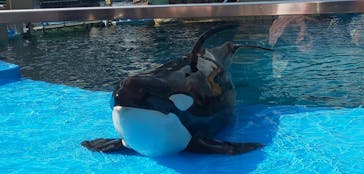 名古屋港水族館に投稿された画像（2022/4/14）