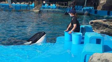 名古屋港水族館に投稿された画像（2022/4/14）