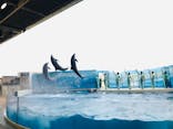 新江ノ島水族館に投稿された画像（2022/4/14）