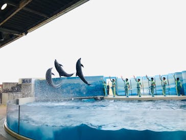 新江ノ島水族館に投稿された画像（2022/4/14）