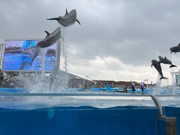 名古屋港水族館に投稿された画像（2022/4/14）