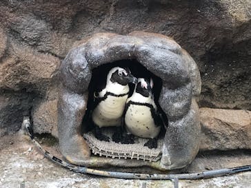 サンシャイン水族館に投稿された画像（2022/4/14）