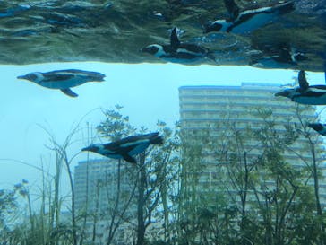 サンシャイン水族館に投稿された画像（2022/4/14）