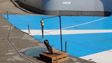 大分マリーンパレス水族館 「うみたまご」に投稿された画像（2022/4/14）