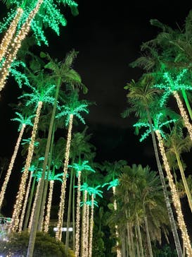 美らヤシパークオキナワ・東南植物楽園に投稿された画像（2022/4/14）