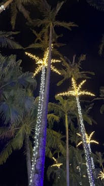 美らヤシパークオキナワ・東南植物楽園に投稿された画像（2022/4/14）