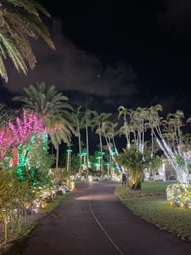 美らヤシパークオキナワ・東南植物楽園に投稿された画像（2022/4/14）