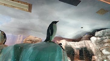 名古屋港水族館に投稿された画像（2022/4/14）