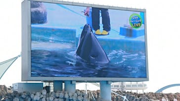 名古屋港水族館に投稿された画像（2022/4/14）