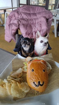 伊豆シャボテン動物公園に投稿された画像（2022/4/14）