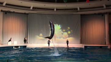 アクアワールド茨城県大洗水族館に投稿された画像（2022/4/14）