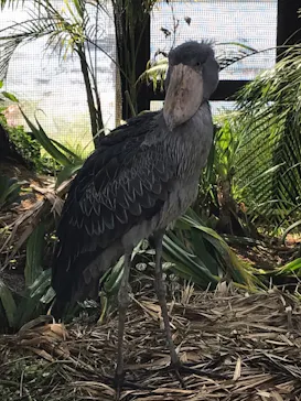 神戸どうぶつ王国に投稿された画像（2022/4/14）