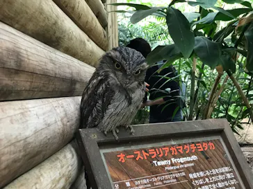 神戸どうぶつ王国に投稿された画像（2022/4/14）