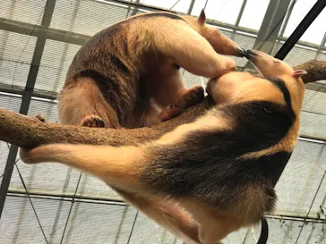 神戸どうぶつ王国に投稿された画像（2022/4/14）