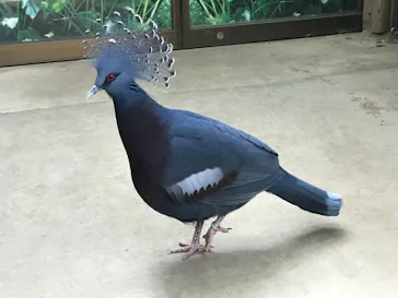 神戸どうぶつ王国に投稿された画像（2022/4/14）