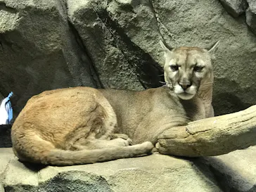 神戸どうぶつ王国に投稿された画像（2022/4/14）