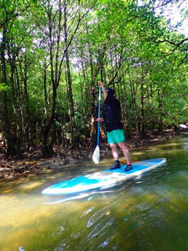 西表島 ADVENTURE PiPi（アドベンチャーピピ）に投稿された画像（2022/4/15）