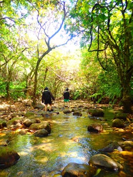 西表島 ADVENTURE PiPi（アドベンチャーピピ）に投稿された画像（2022/4/15）