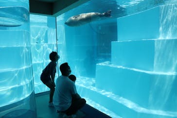 マリンワールド海の中道に投稿された画像（2022/4/15）