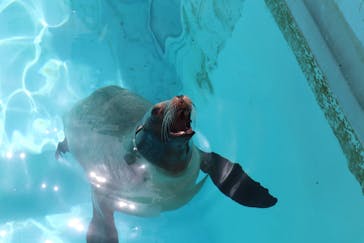 マリンワールド海の中道に投稿された画像（2022/4/15）